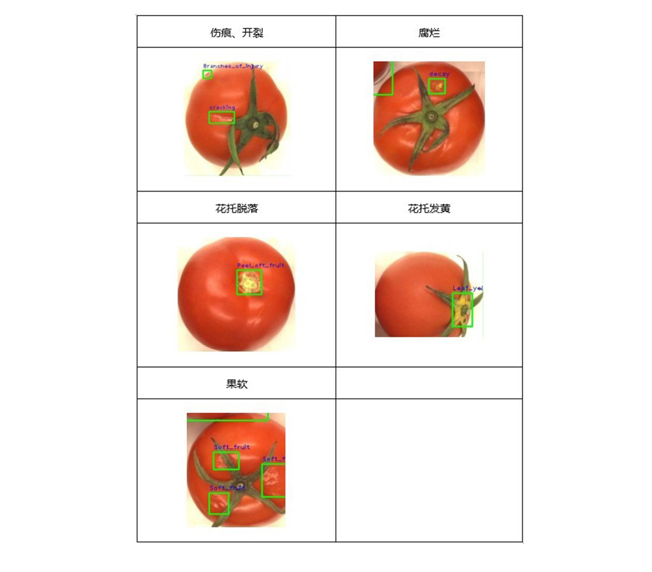 0638太阳集团(股份)有限公司官方网站